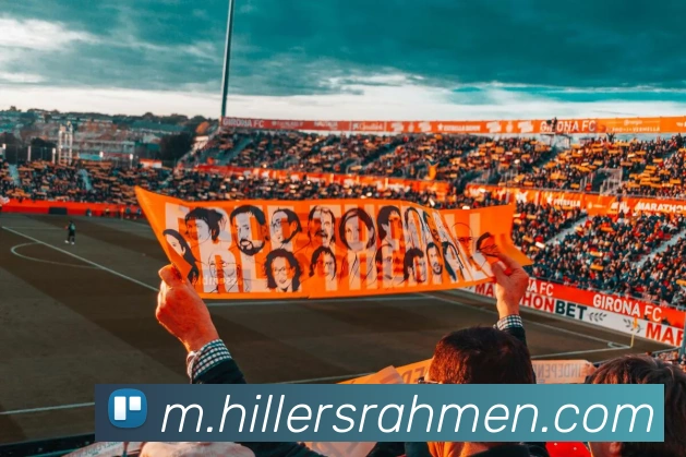 企业概况